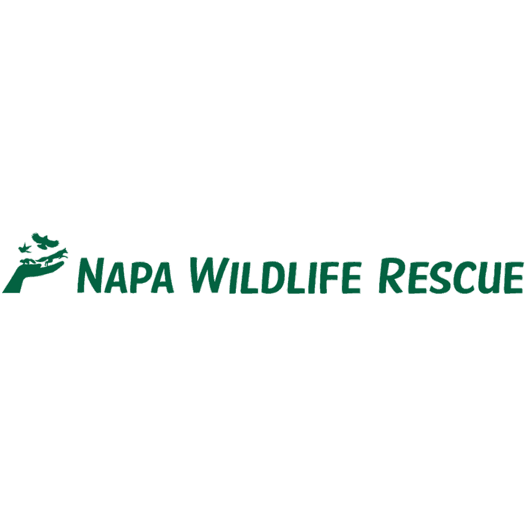 Napa Wildlife Rescue